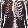 Skeleton Shirt