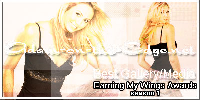 Best Gallery/Media